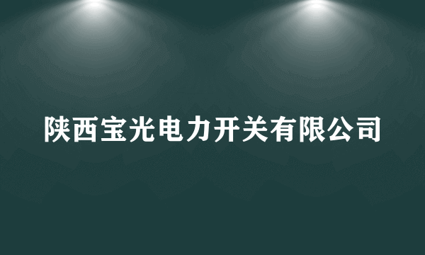 陕西宝光电力开关有限公司