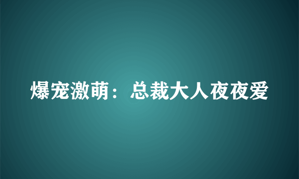 爆宠激萌：总裁大人夜夜爱