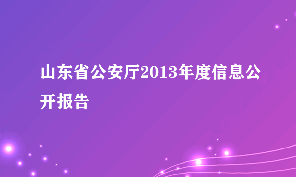 山东省公安厅2013年度信息公开报告