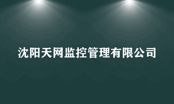 沈阳天网监控管理有限公司