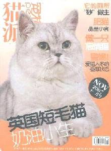 宠物派（猫派）