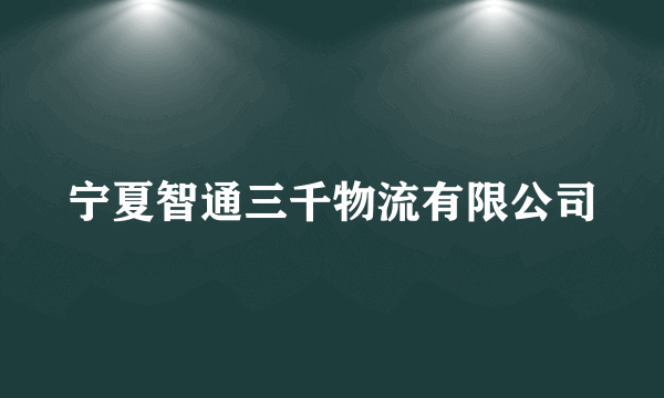 宁夏智通三千物流有限公司