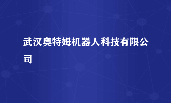 武汉奥特姆机器人科技有限公司