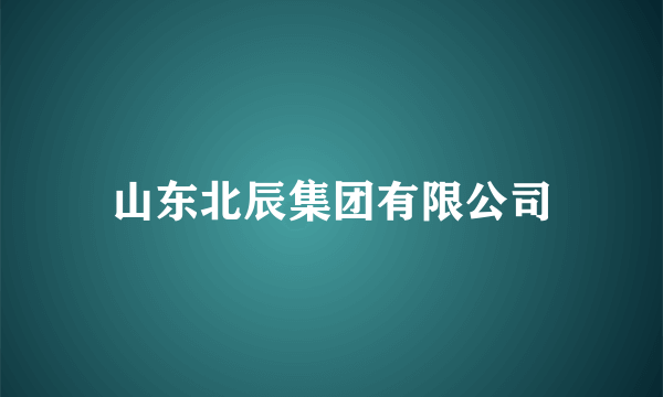 山东北辰集团有限公司