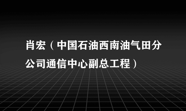 肖宏（中国石油西南油气田分公司通信中心副总工程）