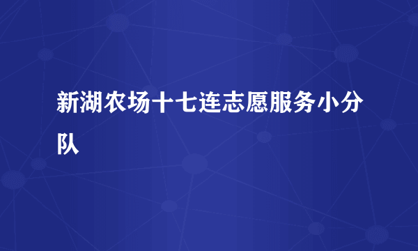 新湖农场十七连志愿服务小分队