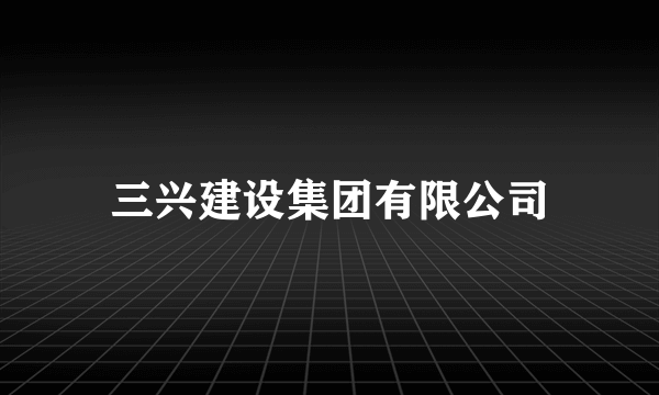 三兴建设集团有限公司