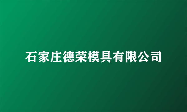 石家庄德荣模具有限公司