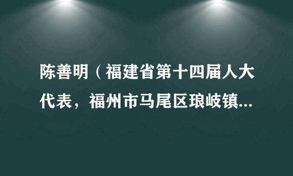 陈善明（福建省第十四届人大代表，福州市马尾区琅岐镇金砂管理区党委书记）