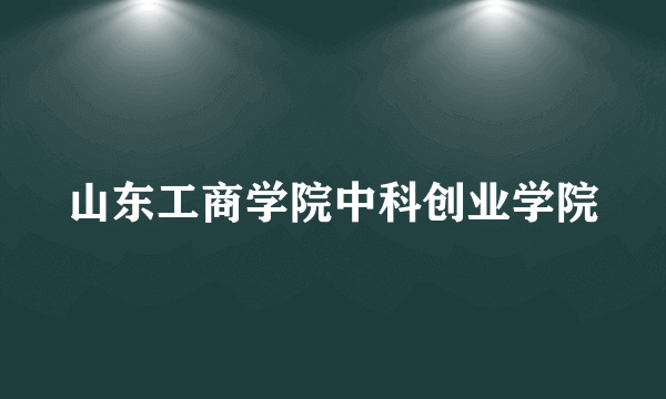 山东工商学院中科创业学院