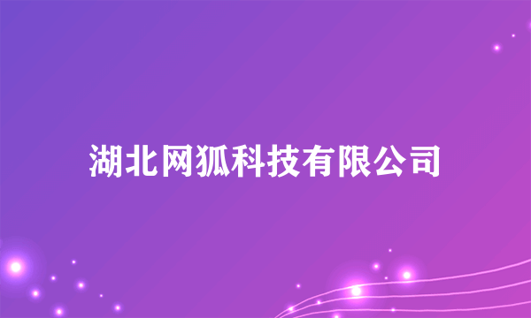 湖北网狐科技有限公司