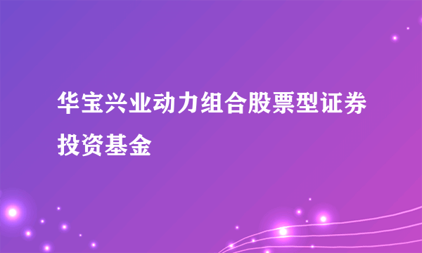 华宝兴业动力组合股票型证券投资基金