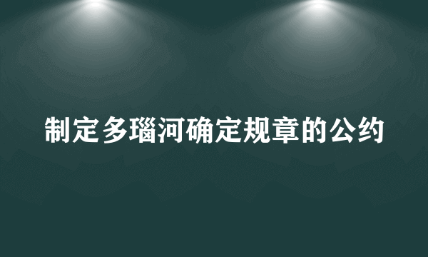 制定多瑙河确定规章的公约