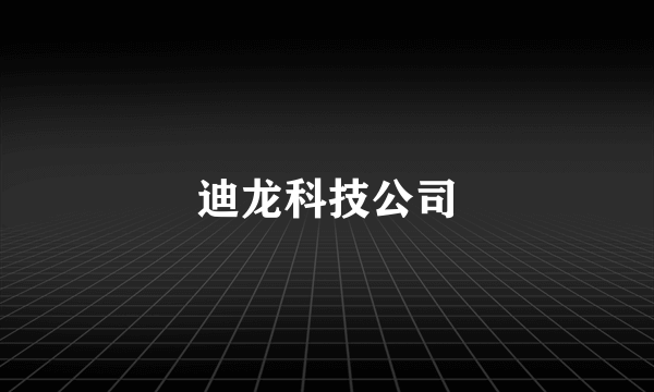 迪龙科技公司