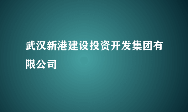 武汉新港建设投资开发集团有限公司