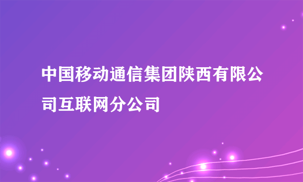 中国移动通信集团陕西有限公司互联网分公司