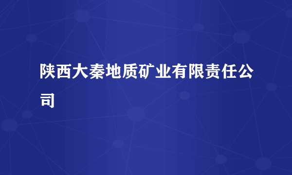 陕西大秦地质矿业有限责任公司