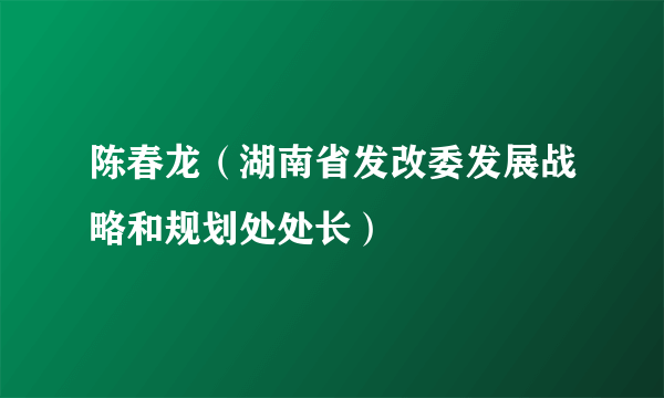 陈春龙（湖南省发改委发展战略和规划处处长）