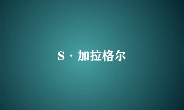 S·加拉格尔