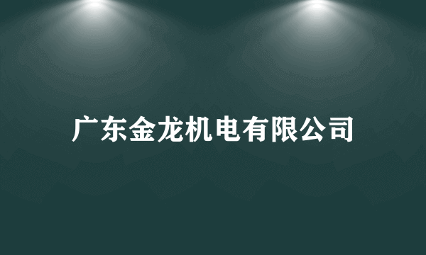 广东金龙机电有限公司