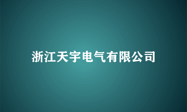 浙江天宇电气有限公司