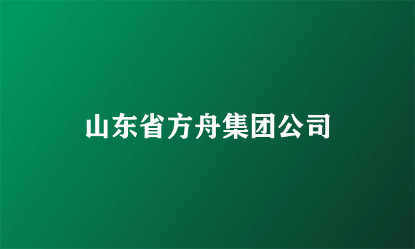 山东省方舟集团公司