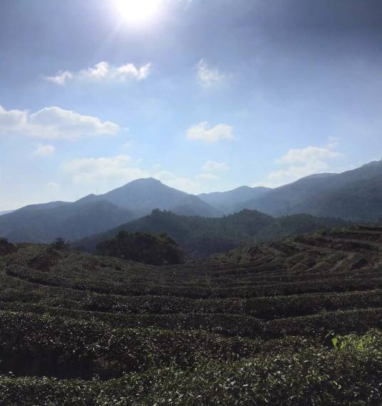 大雾山（福建泉州泉港区景点）