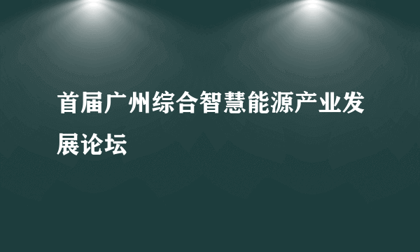 首届广州综合智慧能源产业发展论坛