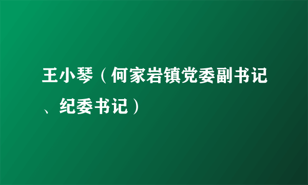 王小琴（何家岩镇党委副书记、纪委书记）