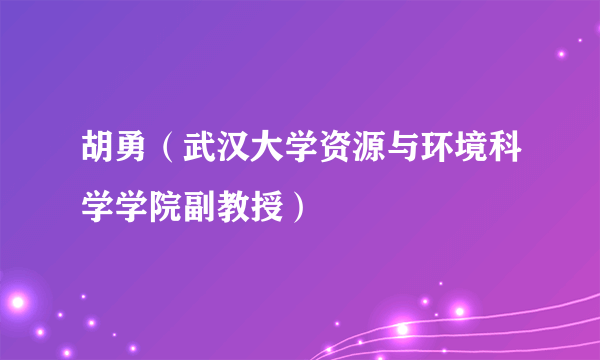 胡勇（武汉大学资源与环境科学学院副教授）