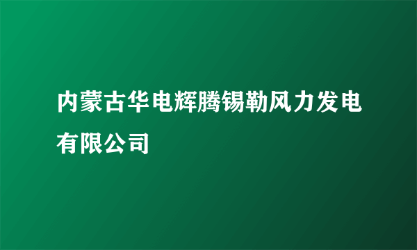 内蒙古华电辉腾锡勒风力发电有限公司