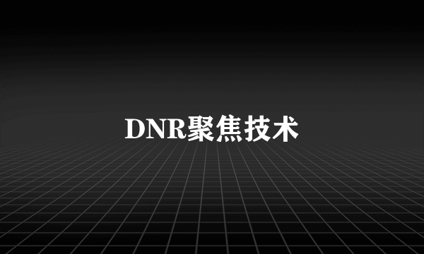 DNR聚焦技术