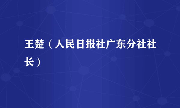 王楚（人民日报社广东分社社长）