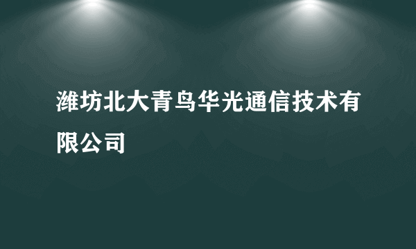 潍坊北大青鸟华光通信技术有限公司