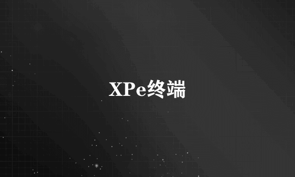 XPe终端