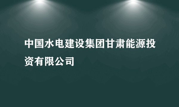 中国水电建设集团甘肃能源投资有限公司