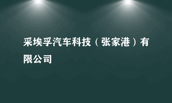 采埃孚汽车科技（张家港）有限公司