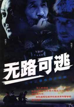 无路可逃（2004年金琛执导的警匪剧）