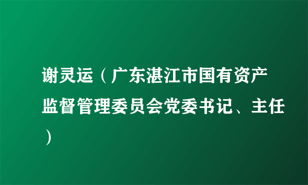 谢灵运（广东湛江市国有资产监督管理委员会党委书记、主任）