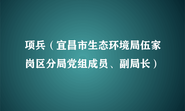 项兵（宜昌市生态环境局伍家岗区分局党组成员、副局长）