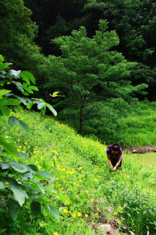 盖州市赤山风景区