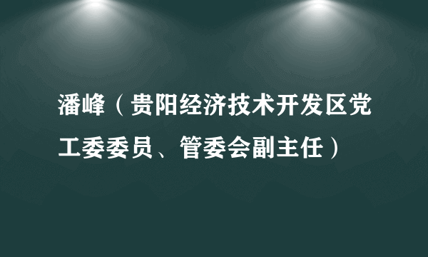 潘峰（贵阳经济技术开发区党工委委员、管委会副主任）