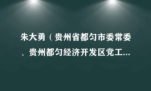 朱大勇（贵州省都匀市委常委、贵州都匀经济开发区党工委副书记、管委会副主任）