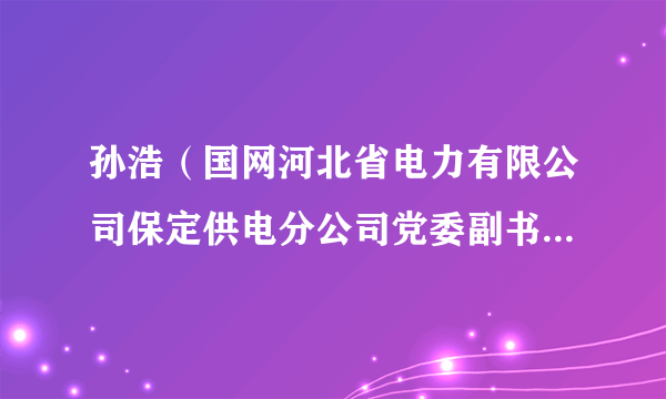 孙浩（国网河北省电力有限公司保定供电分公司党委副书记、纪委书记）