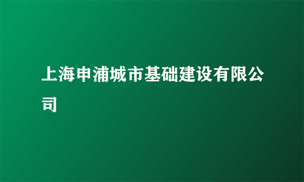 上海申浦城市基础建设有限公司