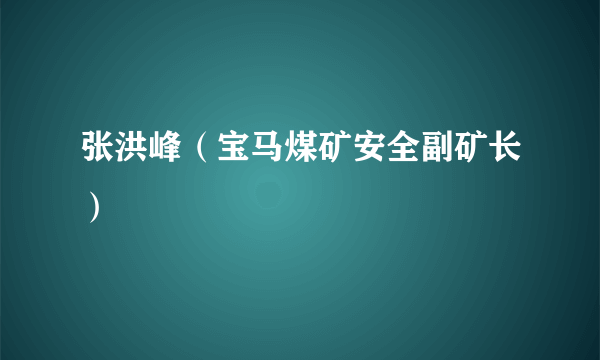 张洪峰（宝马煤矿安全副矿长）