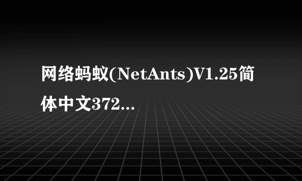 网络蚂蚁(NetAnts)V1.25简体中文3721特别版