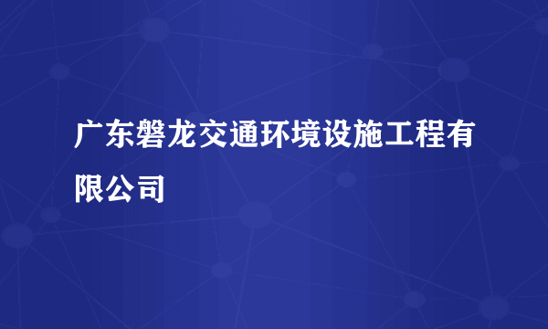 广东磐龙交通环境设施工程有限公司