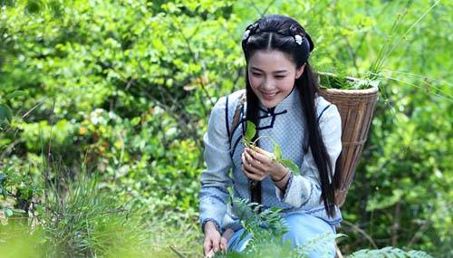 忍冬（电视剧《忍冬艳蔷薇》中的女主角）