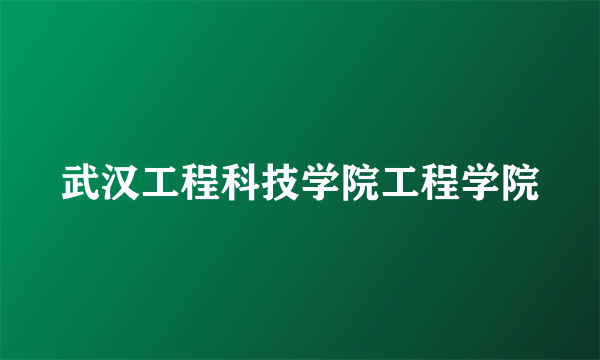 武汉工程科技学院工程学院